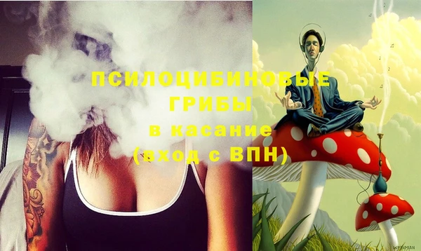 индика Абдулино