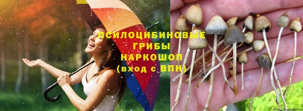 мескалин Абинск